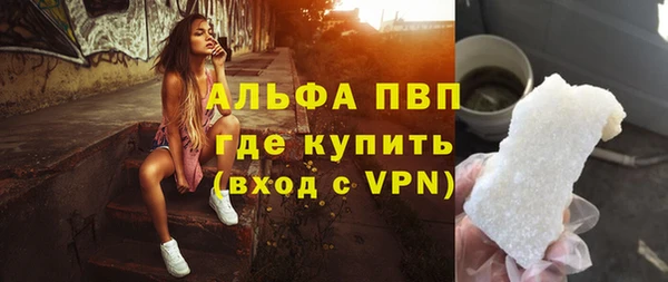 сатива Пестово
