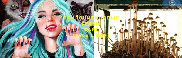 ГАЛЛЮЦИНОГЕННЫЕ ГРИБЫ Вуктыл