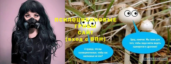 PSILOCYBIN Покров