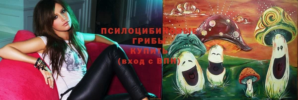 сатива Пестово