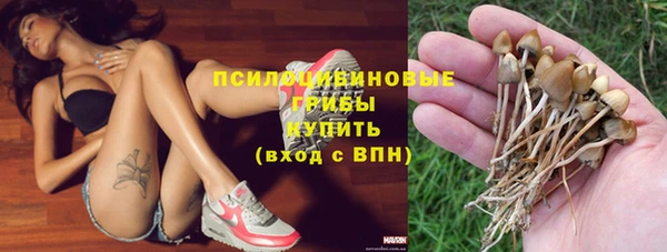 PSILOCYBIN Покров
