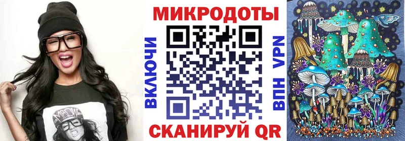 сколько стоит  Клин  Псилоцибиновые грибы MAGIC MUSHROOMS 