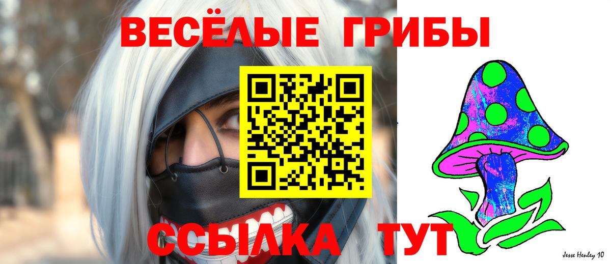 Псилоцибиновые грибы Psilocybine cubensis  Клин  наркота  Псилоцибиновые грибы прущие грибы 