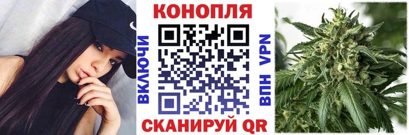 Каннабис сатива  Клин 